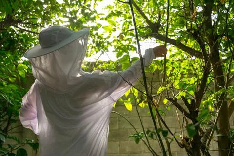 Fruit tree pest control person Stock Photos