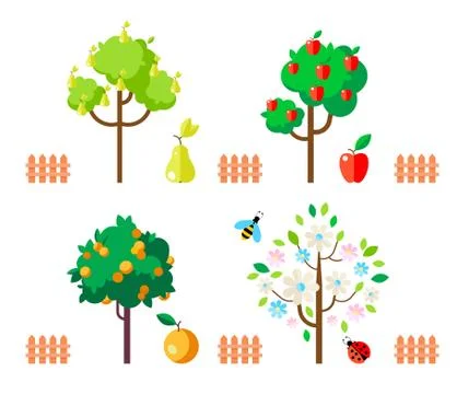 Fruit trees apple, pear, orange, flowering tree. Stock Illustration