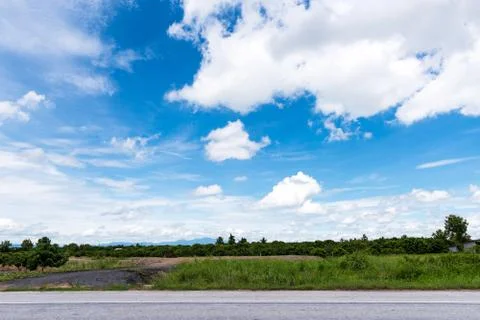 Fruit trees on the background of blue sky Stock Photos