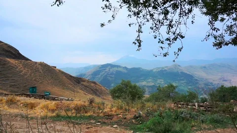 Fruit trees Stock Footage 95545446