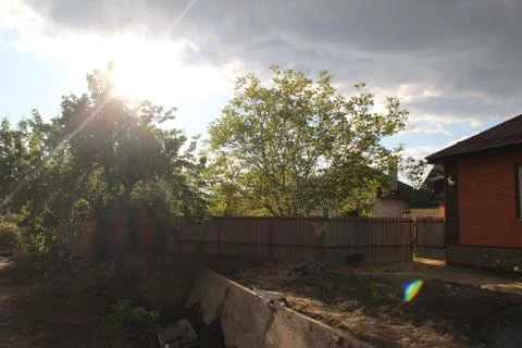 Fruit trees. Stock-Fotos