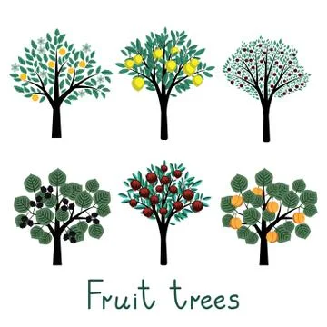 Fruit Trees Set Stock Illustration