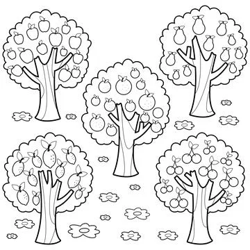 Fruit trees. Vector black and white coloring page. Stock Illustration