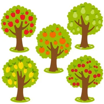 Fruit trees. Vector Illustration Stock Illustration
