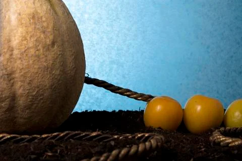 Fruit Tug of War Stock Photos