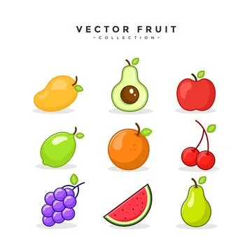 Fruit Vector Element Collection Template Stock Illustration