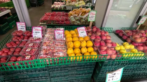 Fruit vegetable store in Japan. Oranges, apples, melons, grapes 스톡 동영상 251553823