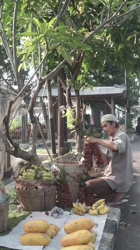 A fruit vendor preparing his wares Stock Footage 254688486
