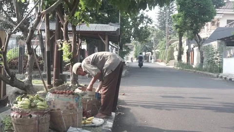 A fruit vendor preparing his wares Stock-Footage 254688510