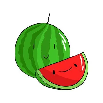 Fruit watermelon vector illustration Stock Illustration