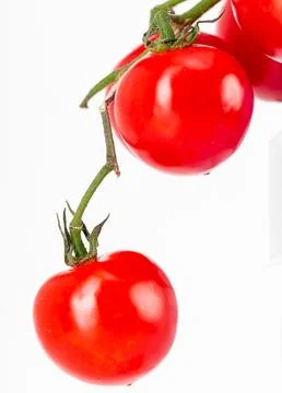Fruit on white background Stock Photos