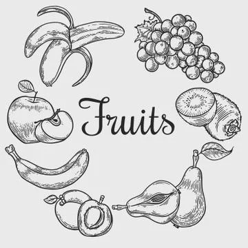 Fruit wreath Stock Illustration