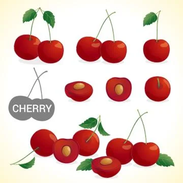 Fruit201508 Set of cherry in various styles vector format Stock Illustration