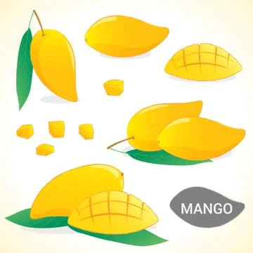 Fruit201508 Set of mango in various styles vector format Stock Illustration