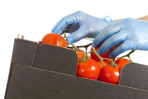 Fruiterer Stock-Fotos