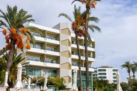 Fruiting date palm and oleander in front of a modern Mediterranean resort h.. Stock Photos