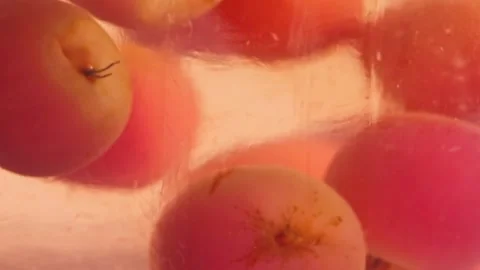 Fruits and berries floating in the compote. Food 動画素材 316702207