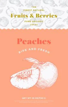 Fruits and Berries Pattern Label Template. Abstract Vector Packaging Design 스톡 일러스트