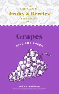 Fruits and Berries Pattern Label Template. Abstract Vector Packaging Design Stock Illustration