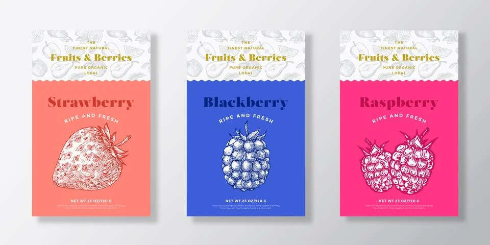Fruits and Berries Pattern Label Templates Set. Vector Packaging Design Layout Illustrazione stock