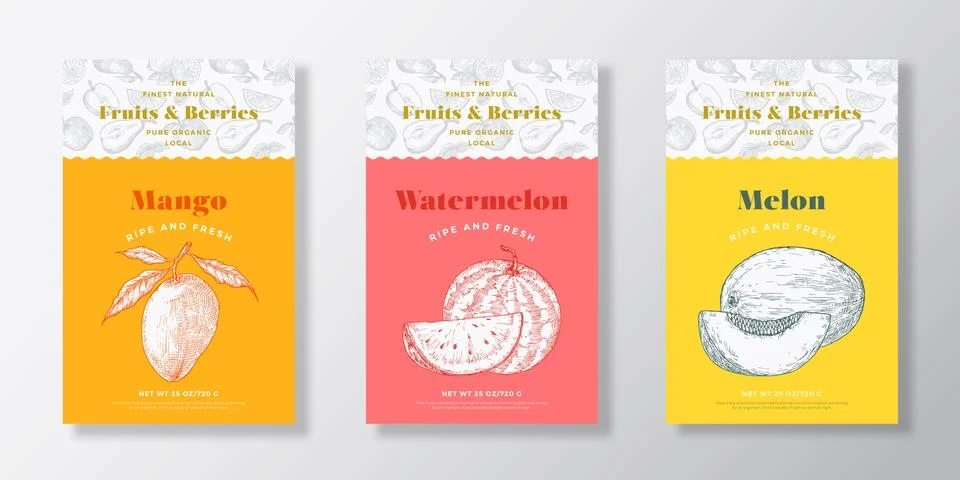 Fruits and Berries Pattern Label Templates Set. Vector Packaging Design Layout Stock Illustration