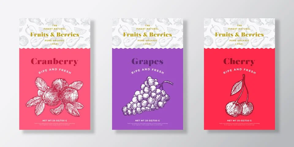 Fruits and Berries Pattern Label Templates Set. Vector Packaging Design Layout Illustrazione stock
