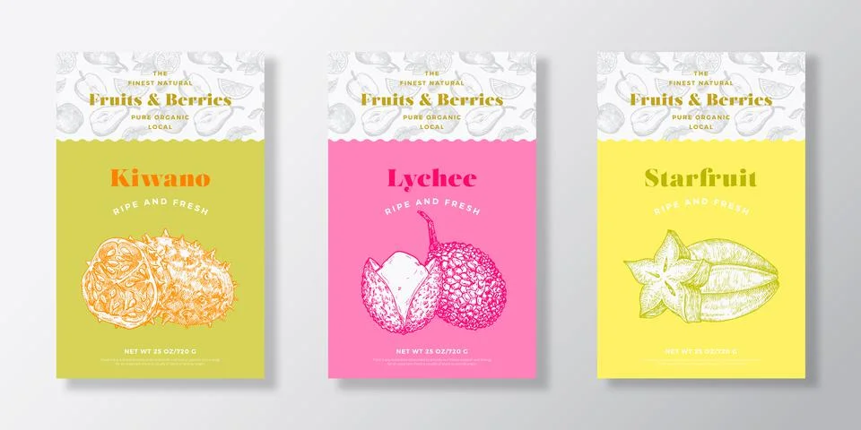 Fruits and Berries Pattern Label Templates Set. Vector Packaging Design Layout Stock Illustration