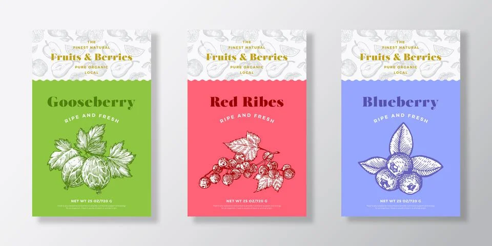 Fruits and Berries Pattern Label Templates Set. Vector Packaging Design Layout Illustrazione stock