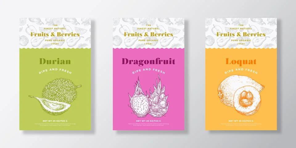 Fruits and Berries Pattern Label Templates Set. Vector Packaging Design Layout Stock Illustration