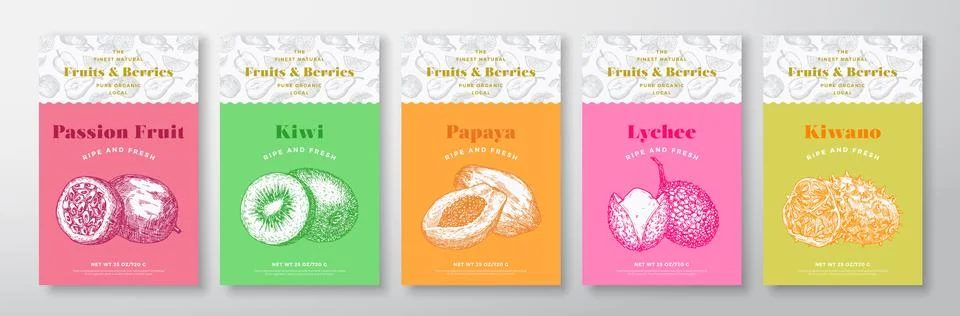 Fruits and Berries Pattern Label Templates Set. Vector Packaging Design Layout Stock Illustration