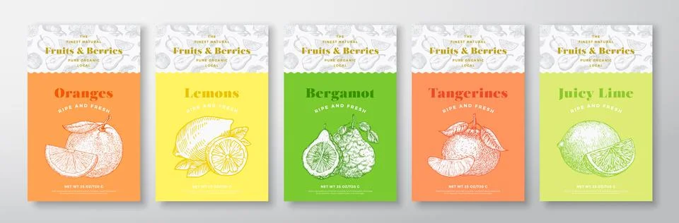 Fruits and Berries Pattern Label Templates Set. Vector Packaging Design Layout 스톡 일러스트