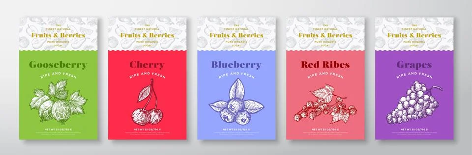 Fruits and Berries Pattern Label Templates Set. Vector Packaging Design Layout Stock Illustration