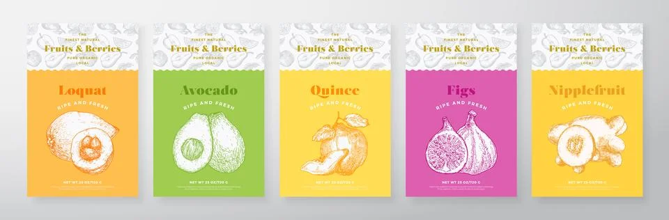 Fruits and Berries Pattern Label Templates Set. Vector Packaging Design Layout Stock Illustration