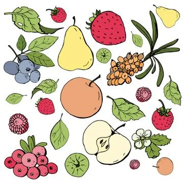 Fruits and berries set Stock Illustration