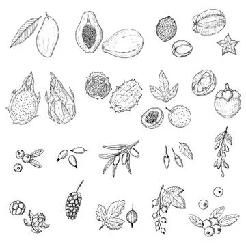 Fruits and berries. Vector cartoon illustrations. Isolated objects on white. Stock Illustration