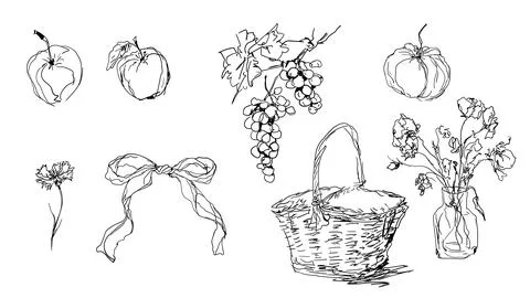 Fruits and Flowers Line Art Minimalist Still Life Illustration Stock Illustration
