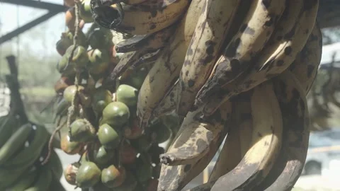 FRUITS AND VEGETABLES  4K Stock Footage 158583218