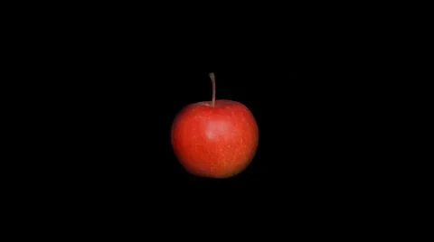 Fruits and vegetables on the background Stock Photos