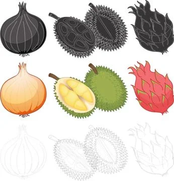 Fruits and Vegetables Designs Stock Illustration