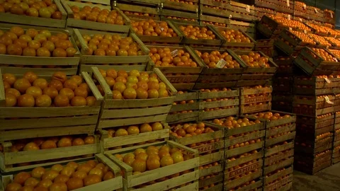 Fruits and vegetables displayed 스톡 동영상 79733616