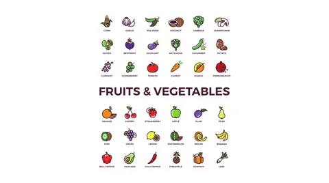 Fruits and vegetables drawing flat line icons animations Stock Footage 64808316