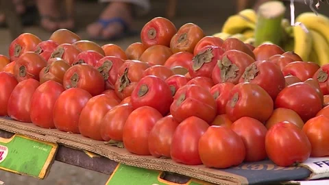 Fruits and vegetables in Egypt Stock Footage 251977493