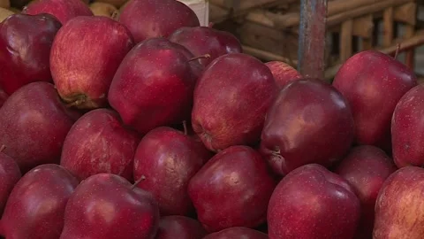 Fruits and vegetables in Egypt Stock Footage 251977995