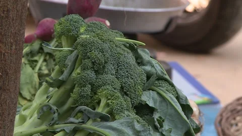 Fruits and vegetables in Egypt Stock Footage 251978165