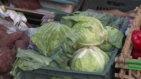 Fruits and vegetables in Egypt Stock Footage 251978247