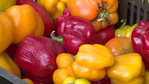 Fruits and vegetables in Egypt Stock Footage 251978277