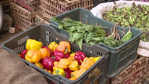 Fruits and vegetables in Egypt Stock Footage 251978281