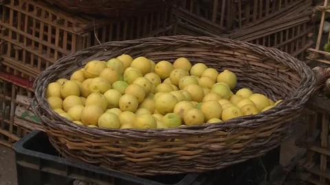 Fruits and vegetables in Egypt Stock Footage 251979351