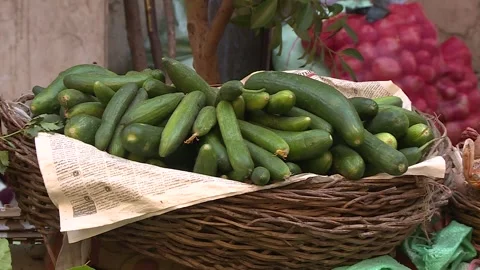 Fruits and vegetables in Egypt Stock Footage 251979558