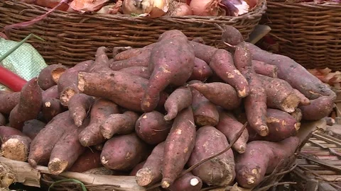 Fruits and vegetables in Egypt Stock Footage 251979574